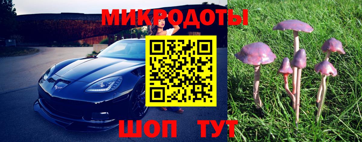 Шебекино  Галлюциногенные грибы мицелий  Псилоцибиновые грибы Psilocybe  Вход с VPN 