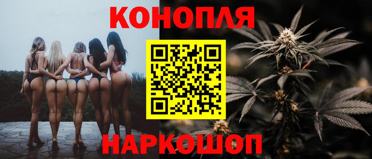 МАРИХУАНА сатива Шебекино